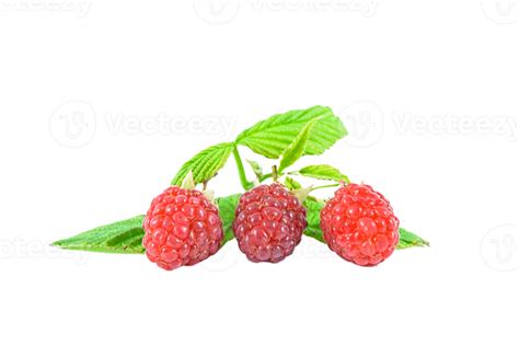 berry png transparent background 29228801 PNG