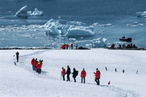 Tours and Cruises to Antarctica | Cruise Norway