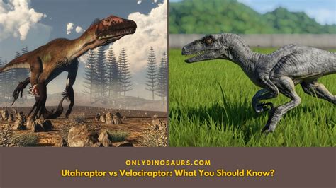 Utahraptor Vs Velociraptor: What You Should Know? | Only Dinosaurs