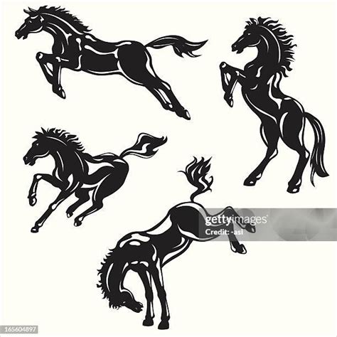 Arabian Horse Silhouette Vector Photos and Premium High Res Pictures - Getty Images