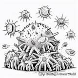 Germs Coloring Pages  Free & Printable sketch template