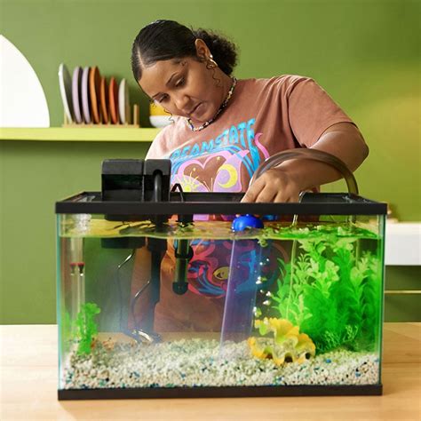 How to Clean a Fish Tank: Freshwater Tank Instructions | BeChewy