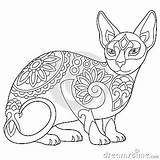 Sphynx Cat Coloring Page Vector Illustration  CartoonDealercom 262446776 sketch template