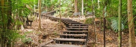 Pahang National Park - Camping and RV Portal for Malaysia