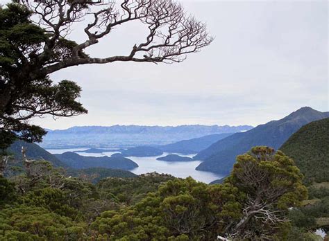 Queenstown Hiking Guide: The BEST Hikes & Walks for Your Adventure