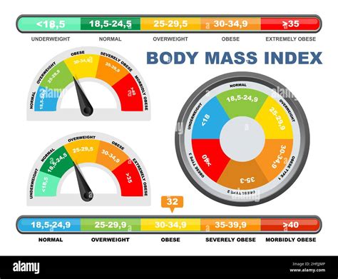 Bmi Chart Scale Vector Illustration Body Mass Index Meter Weight | sexiezpix Web Porn