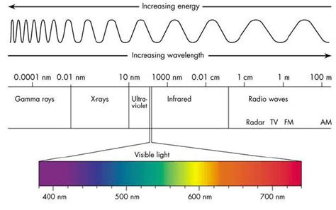 UV Light Systems Selection Guide: Types, Features, Applications ...