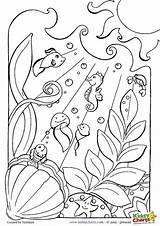 20  Free Printable Ocean Coloring Pages EverFreeColoringcom sketch template