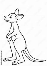 Coloring Pages Little Cute baby kangaroo Smiles Stock Vector  Adobe sketch template