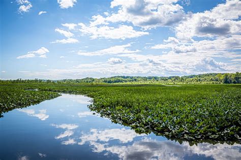 3 Must-Try Easy Family Hikes In Maryland