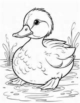 8 Adorable  Free Duck Coloring Pages For Creative Fun sketch template