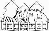 Coloring Sheets Zoo Animals At VANBRIXTONBLOG Blog sketch template