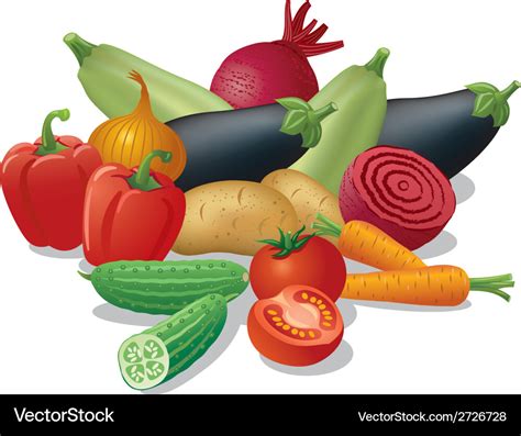 Vegetables harvest Royalty Free Vector Image - VectorStock