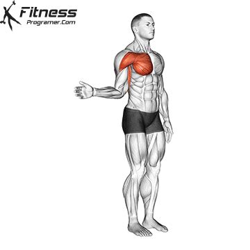 Shoulder Internal Rotation » Workout Planner