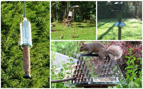 10 Brilliant DIY Squirrel-Proof Bird Feeder Ideas - Garden Lovers Club