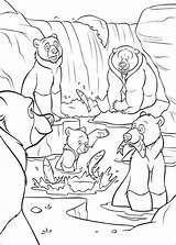 Kids N Fun  Kleurplaat Brother Bear Beren Vangen Vis Kleurplaten sketch template