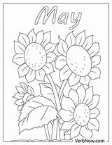 Free MAY Coloring Pages For Download Printable PDF sketch template