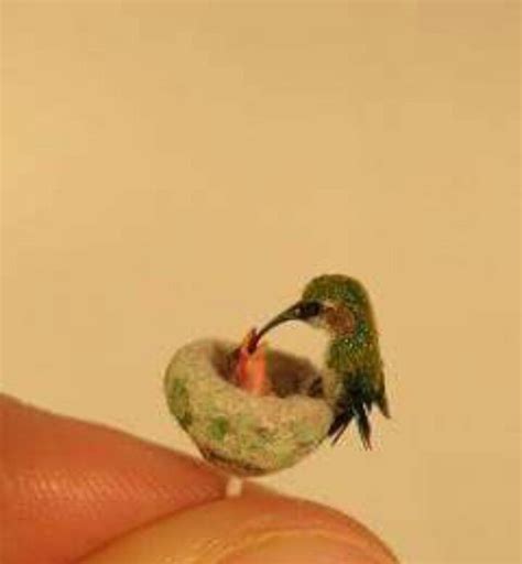 Bumblebee hummingbird | Pet birds, Pretty birds, Humming bird feeders