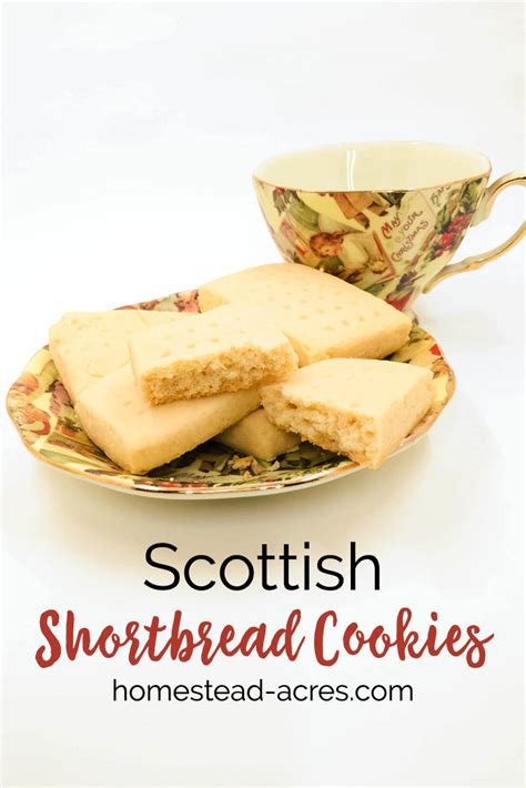 The Best Scottish Shortbread Cookies - Homestead Acres