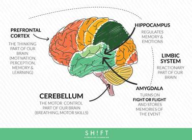 Instructional Designers: Understand The Role of Emotions in Learning