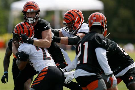 Cincinnati Bengals Defense Continues to Dominate, Plus Injury Updates ...