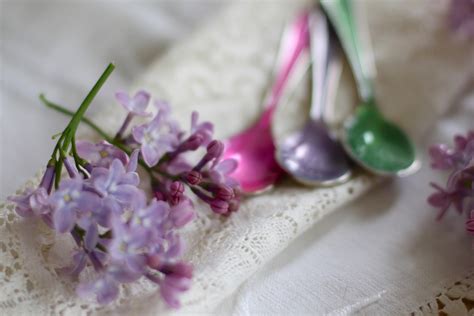 Lilac Time