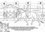 Star Stable Pages Coloring sketch template
