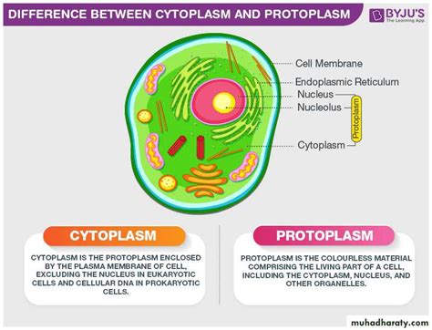 Protoplasm pptx - D. Mohammed - Muhadharaty