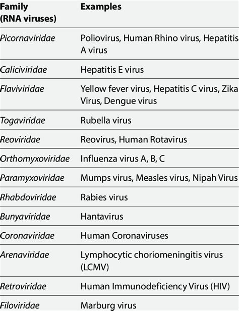 Major families of RNA viruses having a medical impact. | Download ...