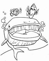 Finding Nemo Shark Coloring Pages  coloring sketch template