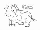 Cow Coloring Page  Pages Farm Animal coloring sketch template