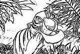 Disney Jungle Book Coloring Page 53  Wecoloringpagecom sketch template