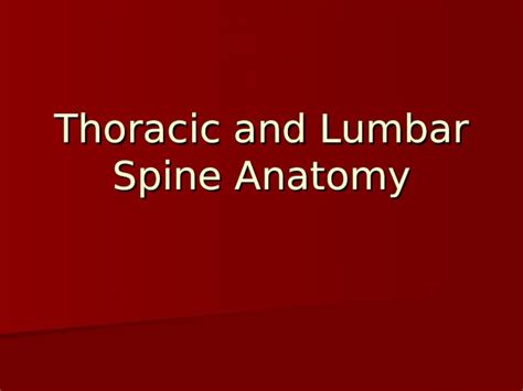 (PPT) Thoracic and Lumbar Spine Anatomy. Thoracic Vertebrae Bodies Bodies Pedicles Pedicles ...