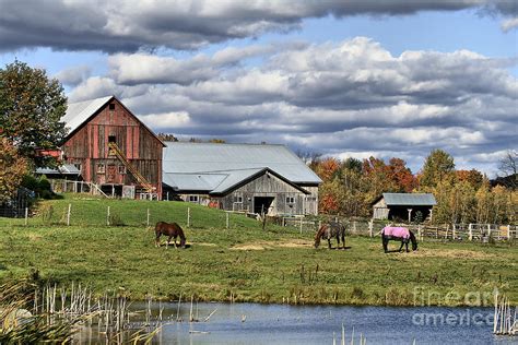 Fall At The Horse Farm Photograph by Deborah Benoit - Fine Art America