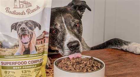 BADLANDS RANCH Superfood Complete Grain-Free Chicken Air-Dried Dog Food, 11.5-oz bag - Chewy.com