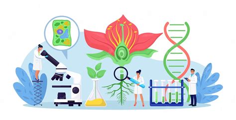 Premium Vector | Biology botany subject Biologist exploring nature Scientist make laboratory ...