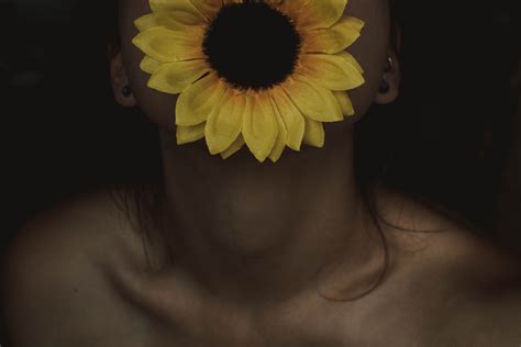 Free Images : sunflower, yellow, flower, petal, close up, plant, gerbera, eye, neck, mouth ...