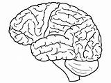 Printable Brain Coloring Page sketch template