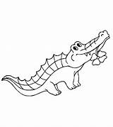 Alligator Crocodile Coloring Pages sketch template