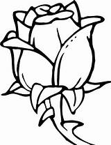 Red Rose Coloring Page At GetDrawings  Free Download sketch template