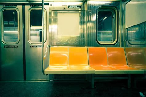 Uncover the Reality of New York's Subway Rats - Animals Around The Globe