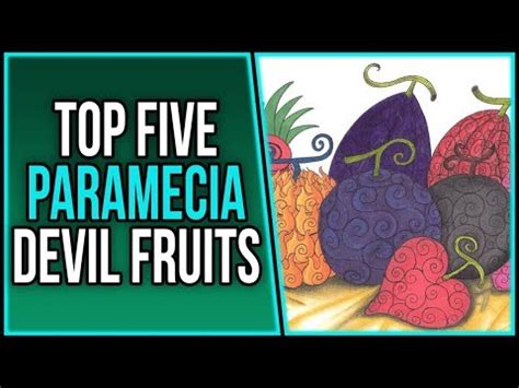 One Piece - Top 5 Paramecia Devil Fruits | ワンピース - YouTube