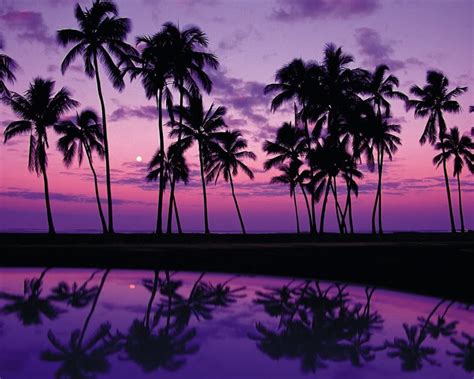 🔥 [30+] Purple Beach Wallpapers | WallpaperSafari