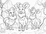 Amazing Three Billy Goats Gruff Coloring  Page sketch template