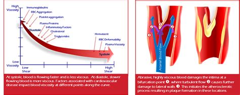 Blood viscosity