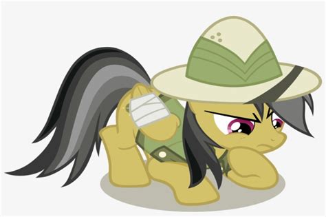 File 141824727907 - Mlp Daring Do Vector - 1024x632 PNG Download - PNGkit