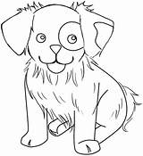 Newfoundland Coloring Pages At GetDrawings  Free Download sketch template