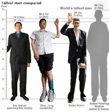 The World's Tallest Man - Sultan Kosen or Leonid Stadnik | Shortest Man He Pingping
