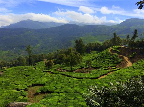 munnar-hill-station | Learn Articles