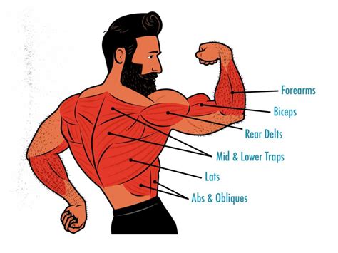 What's The Difference Between Chin-Ups & Pull-Ups? Which is Better?